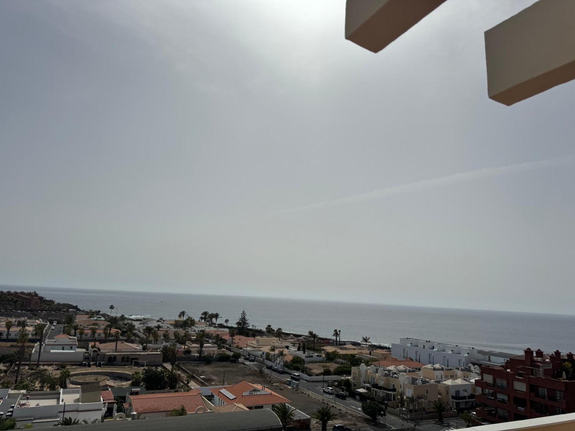 Ocean Deluxe Palm-Mar Lejlighed Eksteriør billede